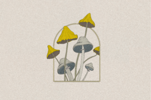 Mushrooms