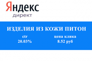 Контекстная реклама в Яндекс Директ: изделия из кожи питона