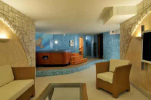 сауна со спа-бассейном в подвале особняка