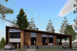 Проект дома в Московской области