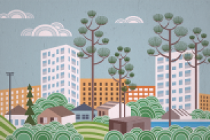 Вид из окна