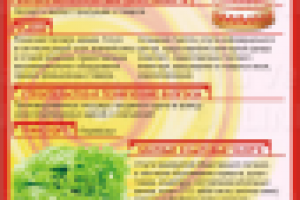 Дизайн печатной рекламы №58