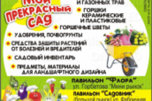 Дизайн печатной рекламы №53