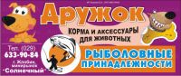 img2571880.png