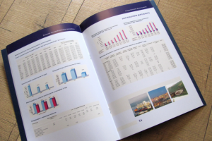 годовой отчет