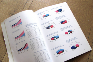 годовой отчет