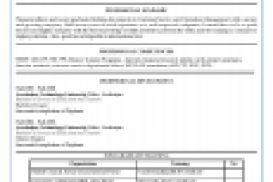 Образец резюме, часть первая