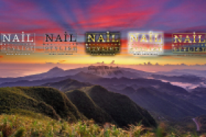 Работа 2831282