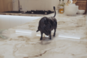 Работа 2316023