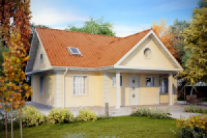 Загородный дом/Визуализация