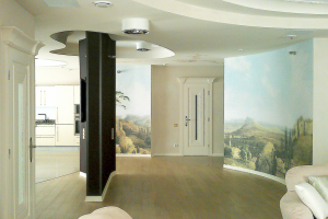 большая квартира в Москве.