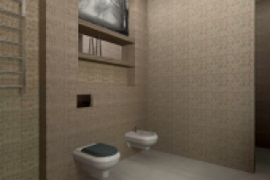 Дизайн санузла