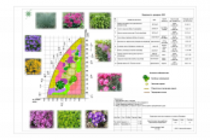 Работа 1442920