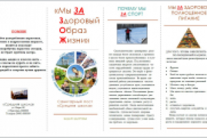 Буклет "ЗОЖ"