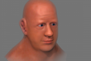 Fast sculpt and polipaint