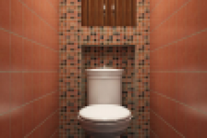 квартира,санузел