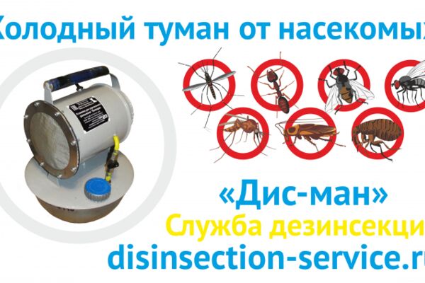 img3718181.png