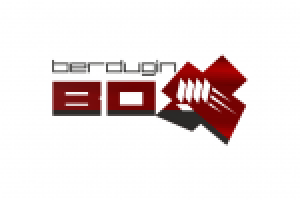 Студия бокса "Бердюгин Бокс"