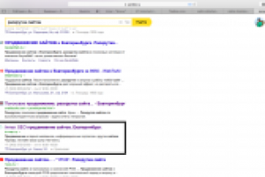 Раскрутка сайтов