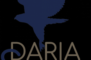 Логотип для модели