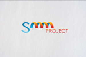Smm