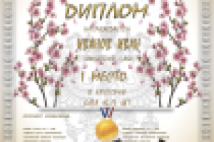 Диплом по каратэ