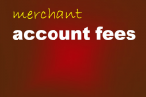 Fees of the Account Bank