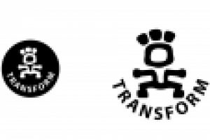 Логотип авторской фитнес-программы в стиле этно