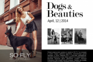 Баннер для фото-проекта (тема: Dogs&Beauties).