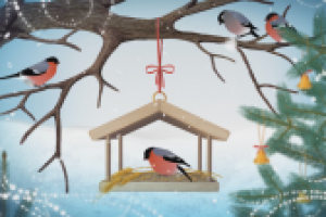 Видео футаж для shutterstock.com