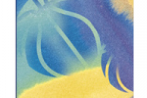 приглашение Премьер-Спорт