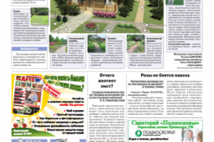 Газета «Аргументы и факты», инфографика