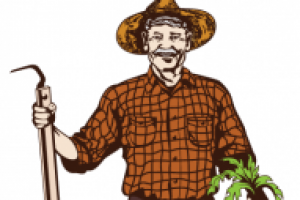 Работа 2465219