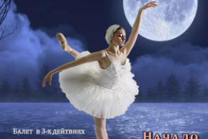 Рекламный баннер театра оперы и балета