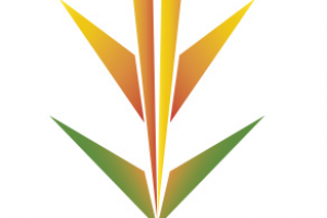 Работа 3907663