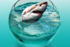 Работа 2455391