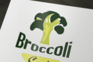 Работа 2511210