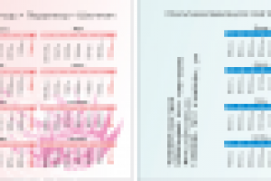 Работа 2455388