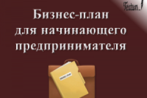 Бизнес-план для начинающего предпринимателя
