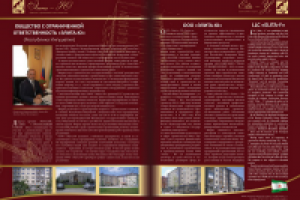 Разработка разворота книги по мировой стройиндустрии