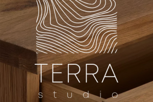 Логотип TERRA