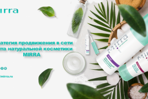 Маркетинговая стратегия продвижения компании Mirra