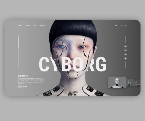 img3981964.png
