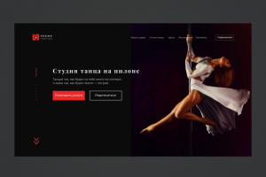 Студия танца на пилоне Племя