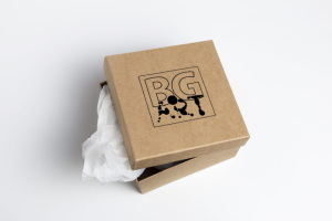 Логотип для канцелярских товаров BG art