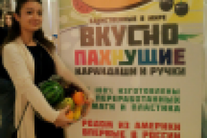 Ролл ап для выставки