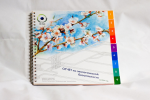 Информационный буклет для НО РАО 2016 г.