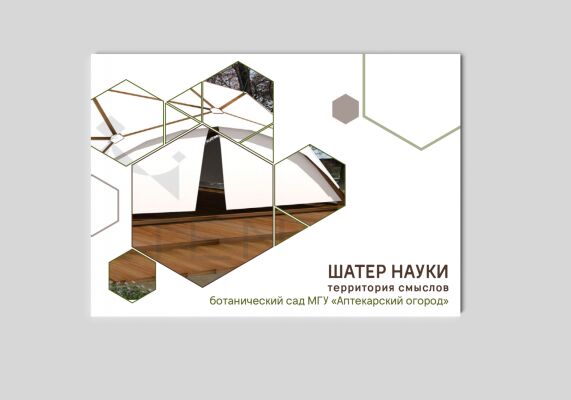 img3734379.png