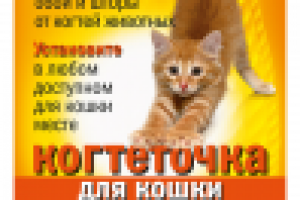 Вкладыш в упаковку когтеточки