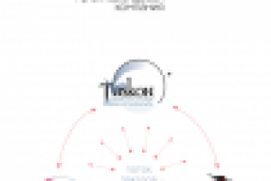 Логотип мультибрендинговой компании